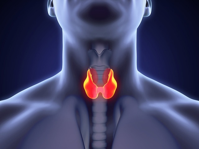 El yodo y su función en la tiroides.