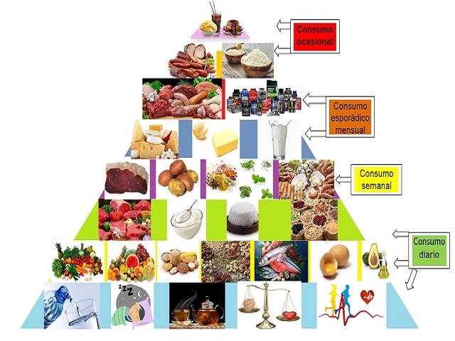 En este momento estás viendo ¿Cómo debería ser una pirámide nutricional correcta?